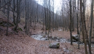 47-DSC04471