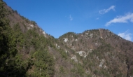 54-DSC04479