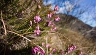 55-DSC04480
