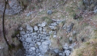 58-DSC04484