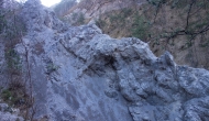 61-DSC04488