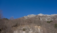 01-DSC04498
