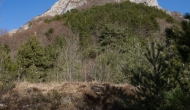 04-DSC04501