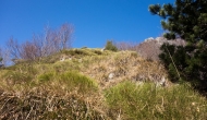07-DSC04504