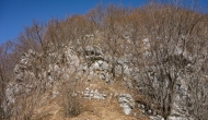 12-DSC04512