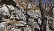 13-DSC04513