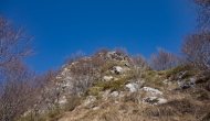 14-DSC04515