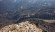 32-DSC04548