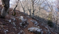 47-DSC04570