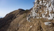 56-DSC04583