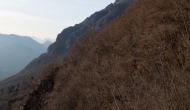 66-DSC04604