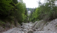 02-DSC05878