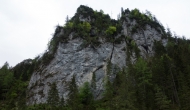 06-DSC05885