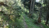 59-DSC05962