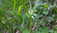 60-DSC05967