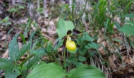 61-DSC05968