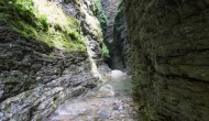 056-DSC06882
