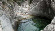 DSC04961