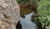 DSC05001