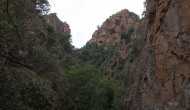DSC05055