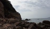 DSC05075