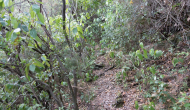 DSC05085