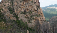DSC05334
