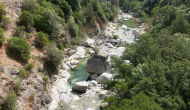 DSC05401