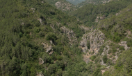DSC05408