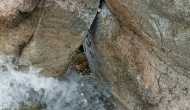 DSC05453