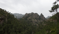 DSC05464