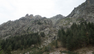 DSC05467