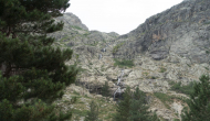 DSC05468