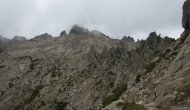 DSC05520
