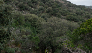 DSC08614