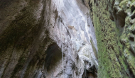 DSC08761