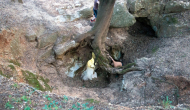DSC08850