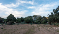 DSC09063