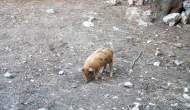 DSC09067