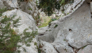 DSC09117