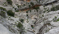 DSC09119