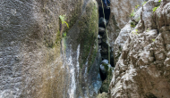 DSC09188