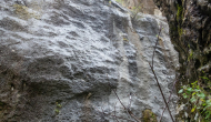 DSC09198