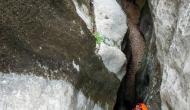DSC09208