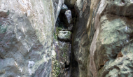 DSC09209