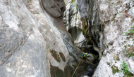 DSC09236