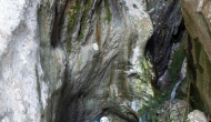 DSC09238