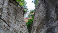 DSC09291
