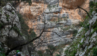 DSC09294