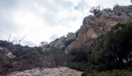DSC09535
